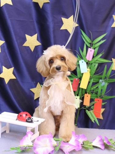 20230712りくくん